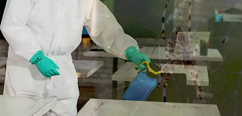 Why Buyers Still Want Homes With Pest Infestations in New Orleans, LA?