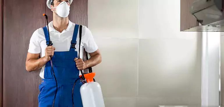 Why New Orleans Homeowners Choose Us When Pests Make Selling Difficult